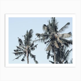 Green Palm Trees Art Print