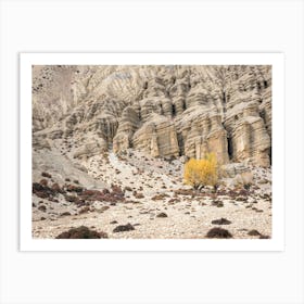 Yellow Tree In The Desert Art Print