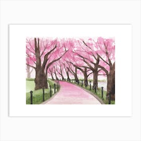 Cherry Blossoms 26 Art Print