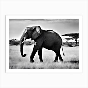 Black And White Vintage Photograph Of An Elephant In Africa Safari Art Print