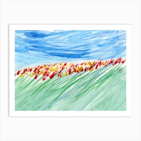 Field Of Tulips Art Print