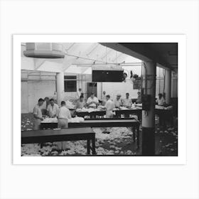 Grading Cotton At Cotton Compress, Houston, Texas By Russell Lee Art Print