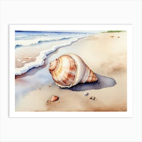 Seashell on the beach, watercolor painting 20 Art Print