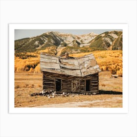 Abandoned Homestead Cabin Art Print