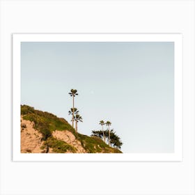 Palm Trees and Cliffs in California Art Print