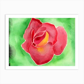 Rose On Green 34 Art Print