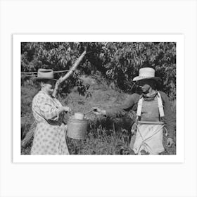 Untitled Photo, Possibly Related To Peach Pickers With Sackful Of Peaches, Delta County, Colorado, These Are Loc Art Print