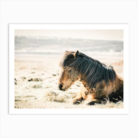 Sleeping Horse Art Print