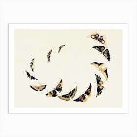 Vintage Butterfly, Cho Senshu (4) Art Print