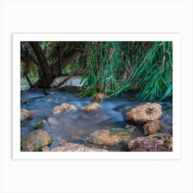 Peaceful Stream In The Forest 1 Art Print