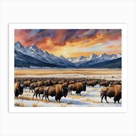 Bison Herd Snow-Kissed Pines and Silent Meadows Art Print