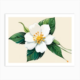 Jasmine Flower 3 Art Print