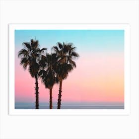 California Dreaming - Coastal Palms Art Print