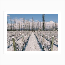 Unitltled 22 - Snow in the Vineyard Series Art Print