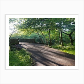 Bridge In The Woods 1 Art Print