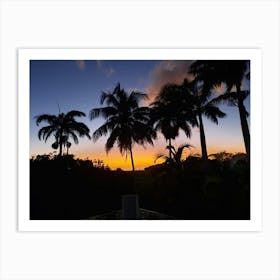 Barbados sunset palm trees Art Print