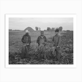 Mexican Beet Workers, Near Fisher, Minnesota By Russell Lee Art Print