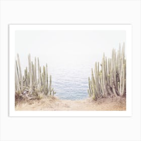 Seaside Cacti Art Print