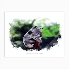 Koala Park Sanctuary, Sydney, New South Wales Art Print