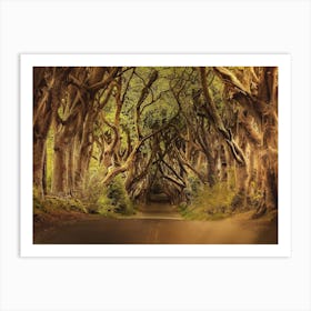 Dark Hedges Art Print