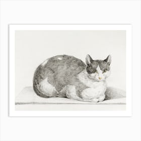 Sitting Cat (1798), Jean Bernard Art Print