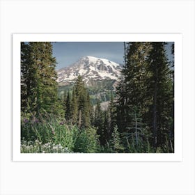 The Path To Heaven - Mount Rainier National Park Art Print