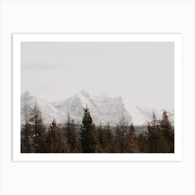 Forest Mountain View Art Print