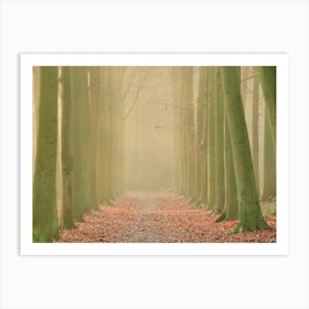Gate of Trees in the Morning Forest Art Print