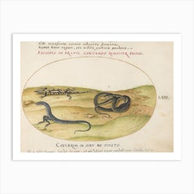 Animalia Qvadrvpedia et Reptilia (c. 1575-1580), Joris Hoefnagel 4 Art Print