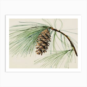 Pine Cone Art Print