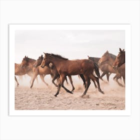 Wild Horse Herd Art Print