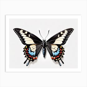Butterfly Wall Art 1 Art Print