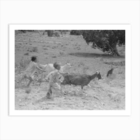 Children Play With The Goats At All Day Sunday Visiting, Pie Town, New Mexico By Russell Lee Art Print