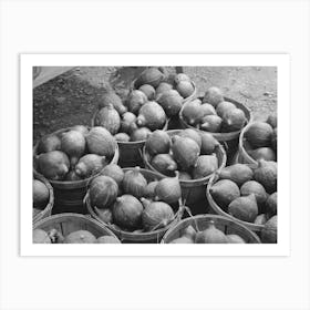 Hubbard Squash Near Berlin, Connecticut By Russell Lee Art Print