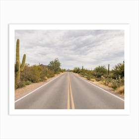 Lonely Desert Road Art Print