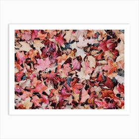 Red Leaves On Forest Floor Art Print