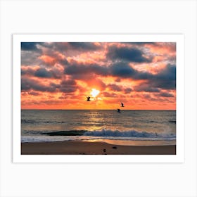 Sunset And Birds At The Fort Lauderdale Beach Art Print