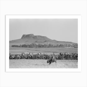 Riding A Buffalo, Bean Day, Wagon Mound, New Mexico By Russell Lee Art Print