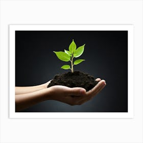 Person Holding A Plant Art Print