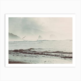 Pacific Northwest Beach Adventures Art Print