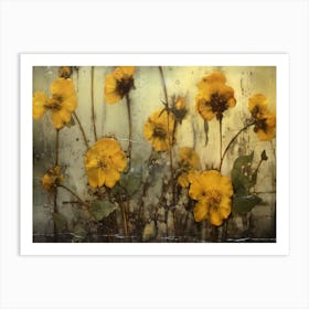 Delicate Flowers - Yellow Poppies Art Print