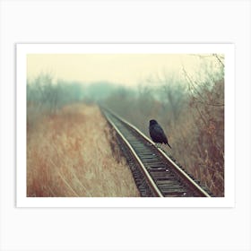 Crow On Railroad Tracks Art Print