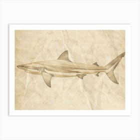 Isistius Genus Shark Silhouette 2 Art Print