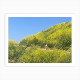 Baldwin Hills Art Print