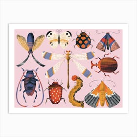 Insects Beatles Butterflies Moss Dragonfly On Pink Art Print
