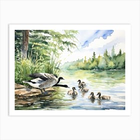 Canadian Geese 29 Art Print