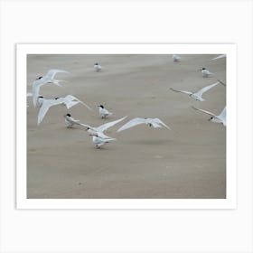 Taking Flight Art Print