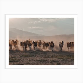 Horse Herd Art Print