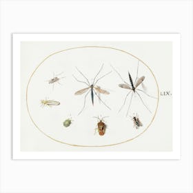 Seven Insects, Including A Hawthorn Shield Bug, Crane Flies, And A Hoverfly, Joris Hoefnagel Art Print