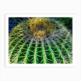 Cactus 202309231735188rt1pub Art Print